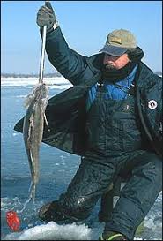 Michigans Winter Walleye Waters