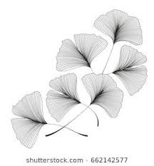 Ginkgo Biloba Leaves Resim Fotograf Bohem Yastiklar