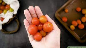 Her favorite hobby, gardening, is a frugal source of organic produce for her recipes. 3 Ways To Freeze Cherry Tomatoes Wikihow