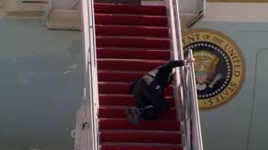 Image result for Bidens steppia