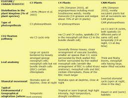 C3 Vs C4 Vs Cam