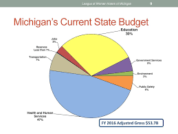 Lwvmi Government Finance Study Ppt Video Online Download