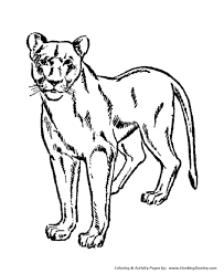 Wild Animal Coloring Page Female Lion Lioness Coloring Page Lion Coloring Pages Animal Coloring Pages Female Lion