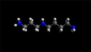 Spermidine is a polyamine compound (c7h19n3) found in ribosomes and living tissues, and having various metabolic functions within organisms. Spermidine Anti Aging And Senolytic Properties