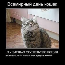 Всемирный день кошек (world cat day) отмечается ежегодно 8 августа по инициативе международного фонда по защите животных «animal welfare», не только с целью чествования. Denis Geek Segodnya Vo Vsem Mire Otmechaetsya Den Kotov I Facebook