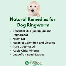 Natural Home Remedies For Dogs With Ringworm Ringworm Remedies Dog Ringworm Home Remedies For Ringworm