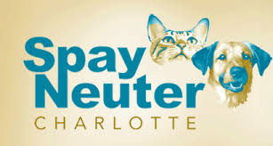 Proudly owned and operated by veterinary pet centers, inc. Spay Neuter Charlotte A Low Cost Spay Neuter And Veterinary Clinic In Noda With The Goal Of Making Charlot Dog Clinic Dog Boarding Near Me Veterinary Clinic