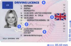 To start living your best life. How To Spot A Fake Id Protect Your Business From It Idenfy
