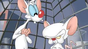 Pinky and the brain are white mice, who are kept as part of acme labs' experimentation. Things Only Adults Notice In Pinky And The Brain
