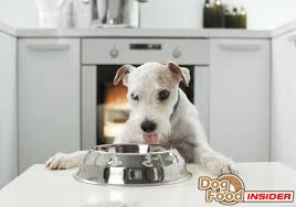 This will be beneficial in maintaining a beautifully healthy and long coat, as well the wholesome food recipes that subtract the artificial additives and leave in all the best bits, also make this pet food. 4health Dog Food Reviews Compare Dog Food Brands