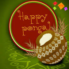 पोंगल 2021 (happy pongal 2021): 5wgs9ekznjjqm