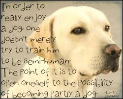 Yellow Lab Dog Quotes Funny Dog Words Dog Quotes
