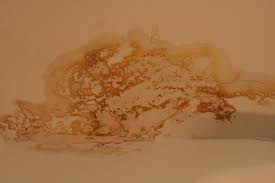 In der folge ging das wasser dann auch durch die decke in die darunterliegende wohnung über. Ernstfall Wasserschaden Wer Zahlt Fur Welche Schaden