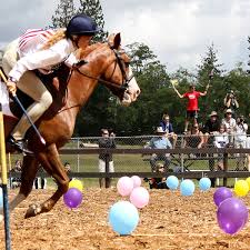 These relay races are the best of the bunch! Global Exchange Comes To Langley Teens Explore Relay Races From The Back Of A Pony Langley Advance Times