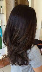 Then on top of that have to spew hate against people who have raven hair. Dark Brunette With Subtle Light Brunette Ombre Bayalage Hair Color 2018 Hair Styles Balayage Hair
