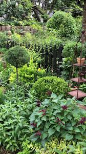 Creating A Topiary From A Garden Volunteer Creating Garden Projetodojardim Shade Garden Backyard Landscaping Cottage Garden