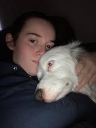 Dogs should be outside tonight