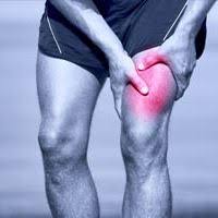 Si mettez votre genou au repos en évitant tout appui sur la jambe concernée. Cuisse Anatomie Physiologie Douleurs Pathologies