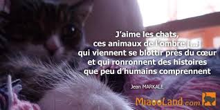 Epingle Sur Animal