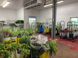 Maybe you would like to learn more about one of these? New Jersey Location Main Wholesale Florist