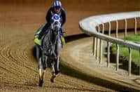 How to crush the kentucky derby 2021 superfecta. Kentucky Derby Race Results Winners And Past History