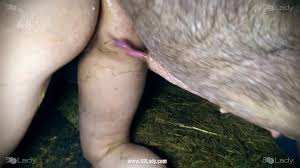 K9Lady] Ariel - Midnight Mating - BestialitySexTaboo - Bestiality Sex Taboo