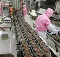 China Canned tuna fish production line from A to Z ...