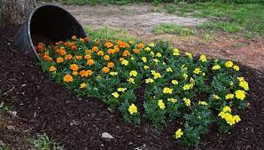 How to plant flowers in a sideways pot. Flowers Spilling Out Of Barrel Creative Gardening Southern Patio