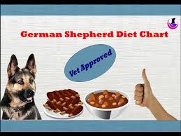 german shepherd diet chart vet approved