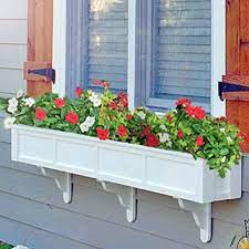 Flowers geranium box balcony flower window nature gift house. 108 Daisy Window Boxes 9 Feet Long