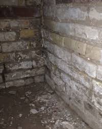 If your basement is wettest after a rain or snowfall, chances are you're dealing with runoff. How To Deal With A Dirt Basement Floor Dearmonty