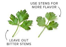 The bright bold flavor of cilantro makes its home in the kitchens of mexico, india, china and southeast asia. Parsley And Cilantro Stems Cook S Illustrated