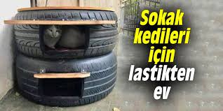 Sokak Kedileri Icin Lastikten Ev