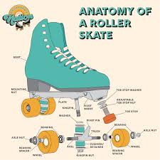 We did not find results for: The Parts Of A Roller Skate Anatomy Of A Roller Skate
