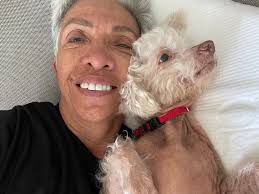 Golden Doodles Enjoying Car Rides and Haircuts