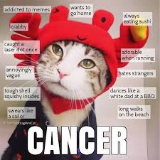 I'm still not sure if being a cancer is a testament to the. Funny Cancer Zodiac Memes