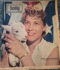 West Liberty Ohio Historical Postcards