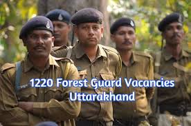 Image result for forest guard pic