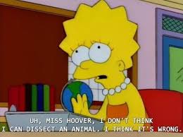 And Stood Up For What She Believed In Defying The Status Quo Lisa Simpson Lisa Simpson