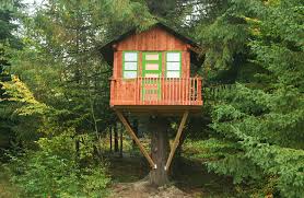 Si va fi pe placul celor mici.&nb. Casute In Copac Pentru Copii Casa Mea
