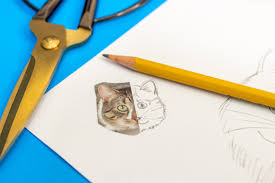 Hey pandas, draw your spirit animal (closed) 2k views. Easy Fun Animal Drawing Ideas For Kids