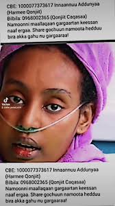 😭 Yoo Gargaaruu Hin Dandeenye Sheer Godhiif😭, 😭Lammiin Lammiif😭