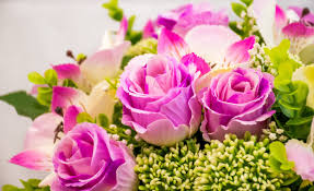 Fiori per compleanno in italy: Significato Dei Fiori Da Regalare Il Linguaggio Dei Fiori