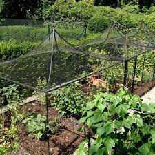 After using these wood tomato cages in my garden for a couple of years, i decided i wanted to paint them to make them more decorative (and add some i live and garden in minneapolis, mn (zone 4b). Hardscaping 101 Fruit Cages Gardenista