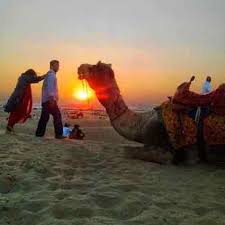 The price of camel safaris varies according to the route, standard of food and comfort provided. Jaisalmer Tours Jaisalmer Tours Packages Jaisalmer Travel Tours