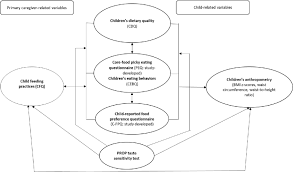 Because not everybody loves the artichoke. Conceptual Framework Of The Picky Eating Bitter Taste Sensitivity Pilot Download Scientific Diagram