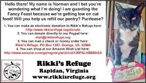 Hello There My Name Is Norman And I Bet You Re Wondering What I M Doing I Am Guarding The Fancy Feast Because We Re Getting Low On Ca Donate Cat Food Refugee
