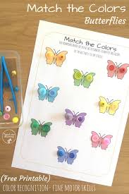 Need some fun inspiration for summer activities for preschoolers? Color Matching Butterflies Preschool Activities Fine Motor Activities For Kids Fine Motor Activities