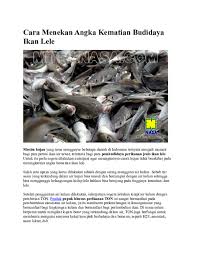 Check spelling or type a new query. Doc Cara Menekan Angka Kematian Budidaya Ikan Lele Nyanyap 18 Academia Edu