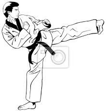 Wir trainieren seit über 40 jahren regelmäßig und freuen uns euch bei uns begrüßen zu dürfen. Olympischen Taekwondo Side Kick Leinwandbilder Bilder Kampfkunst Selbstverteidigung Taekwondo Myloview De